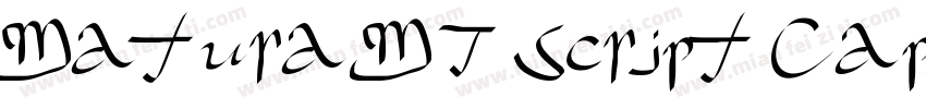 Matura MT Script Capitals字体转换